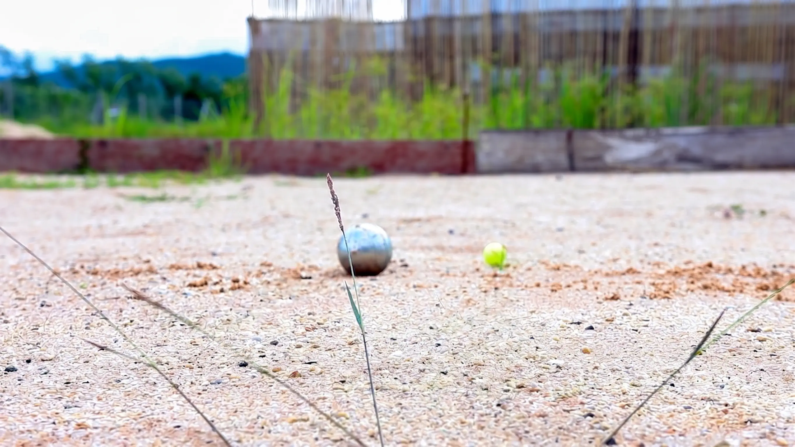 Pétanque