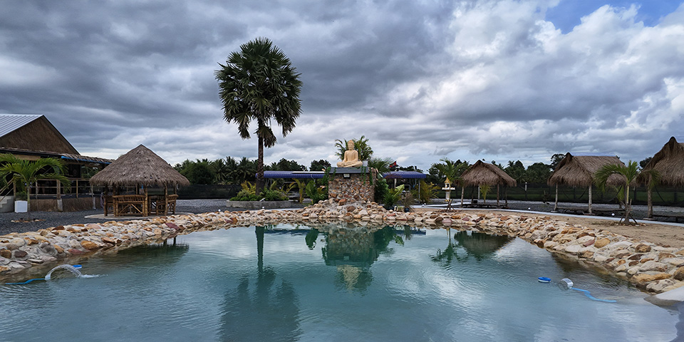 Vue d'ensemble de la piscine naturelle